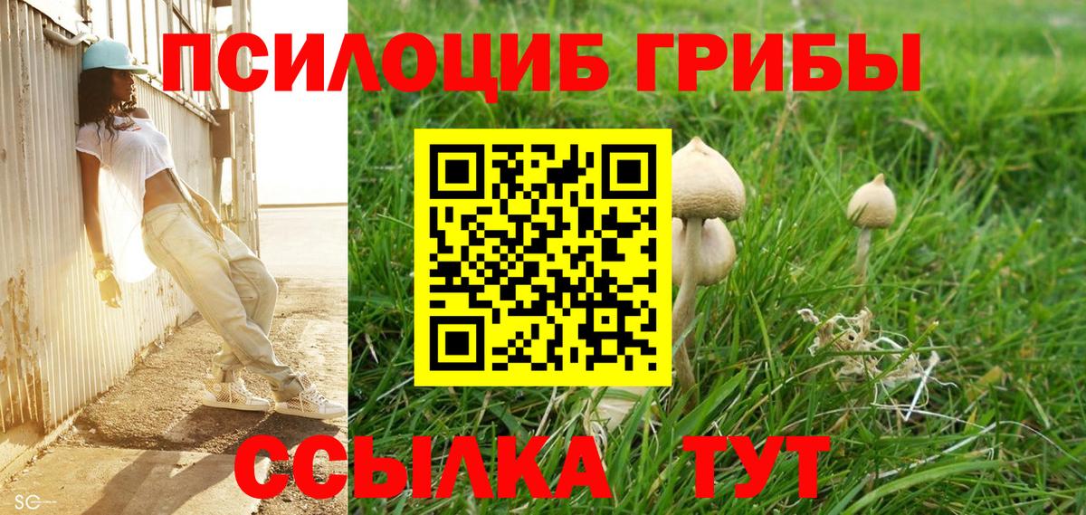 Псилоцибиновые грибы прущие грибы Гусев