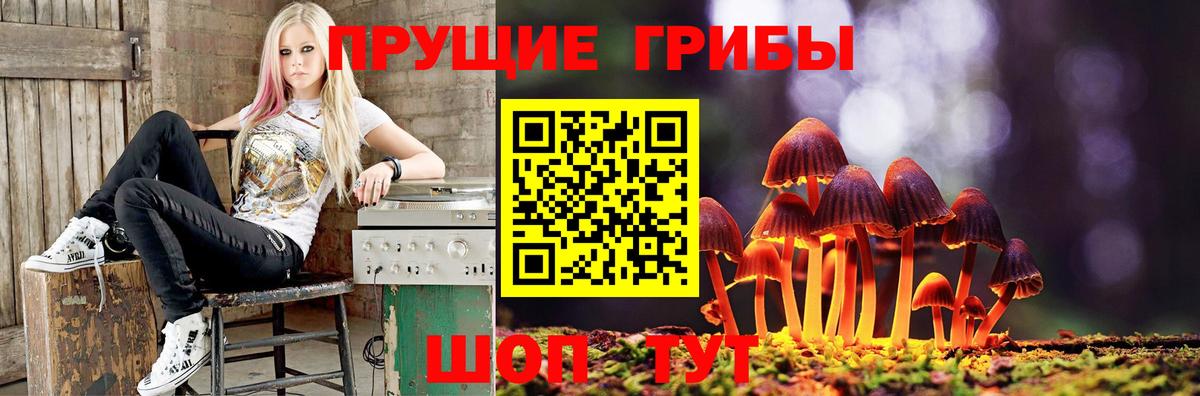 Псилоцибиновые грибы Cubensis  Вход с VPN  Гусев 
