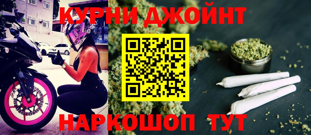 Бошки марихуана сатива Гусев
